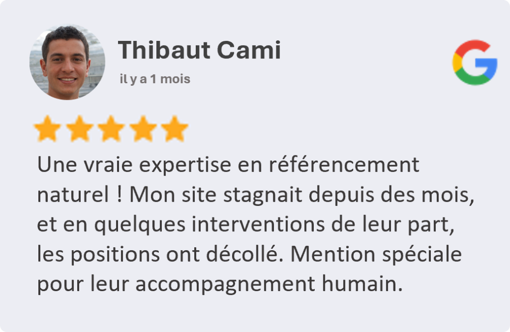 Avis_AgenceSEOLille3